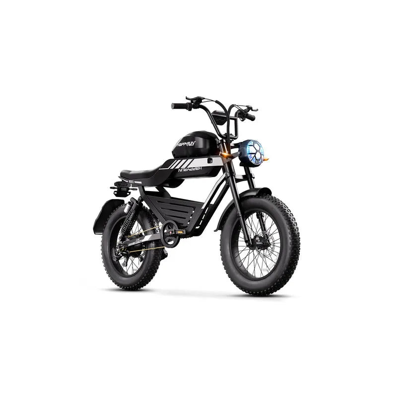HAPPYRUN G100 Pro Global Comme Morative Electric Bikes All-Terrain Electric Motor Bike 3000w Motor 18Ah + 15Ah Dual Battery