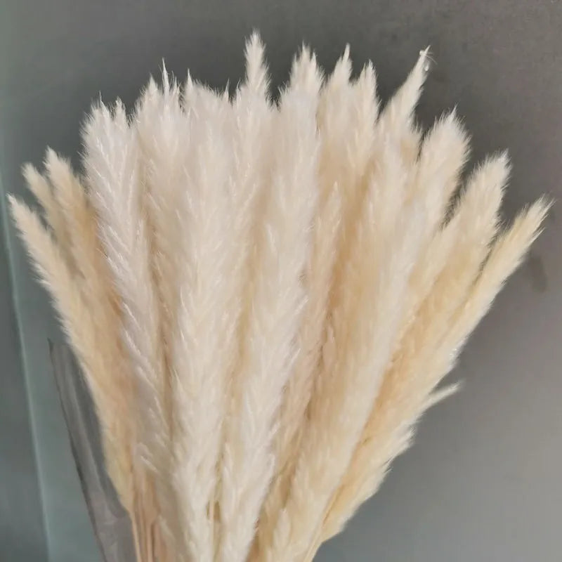 15Pcs Fleur Sechee Naturelle Dried Small Pampas Grass Flowers Para Decoracion Real Plants Home Decor Wedding Decoration Kwiaty