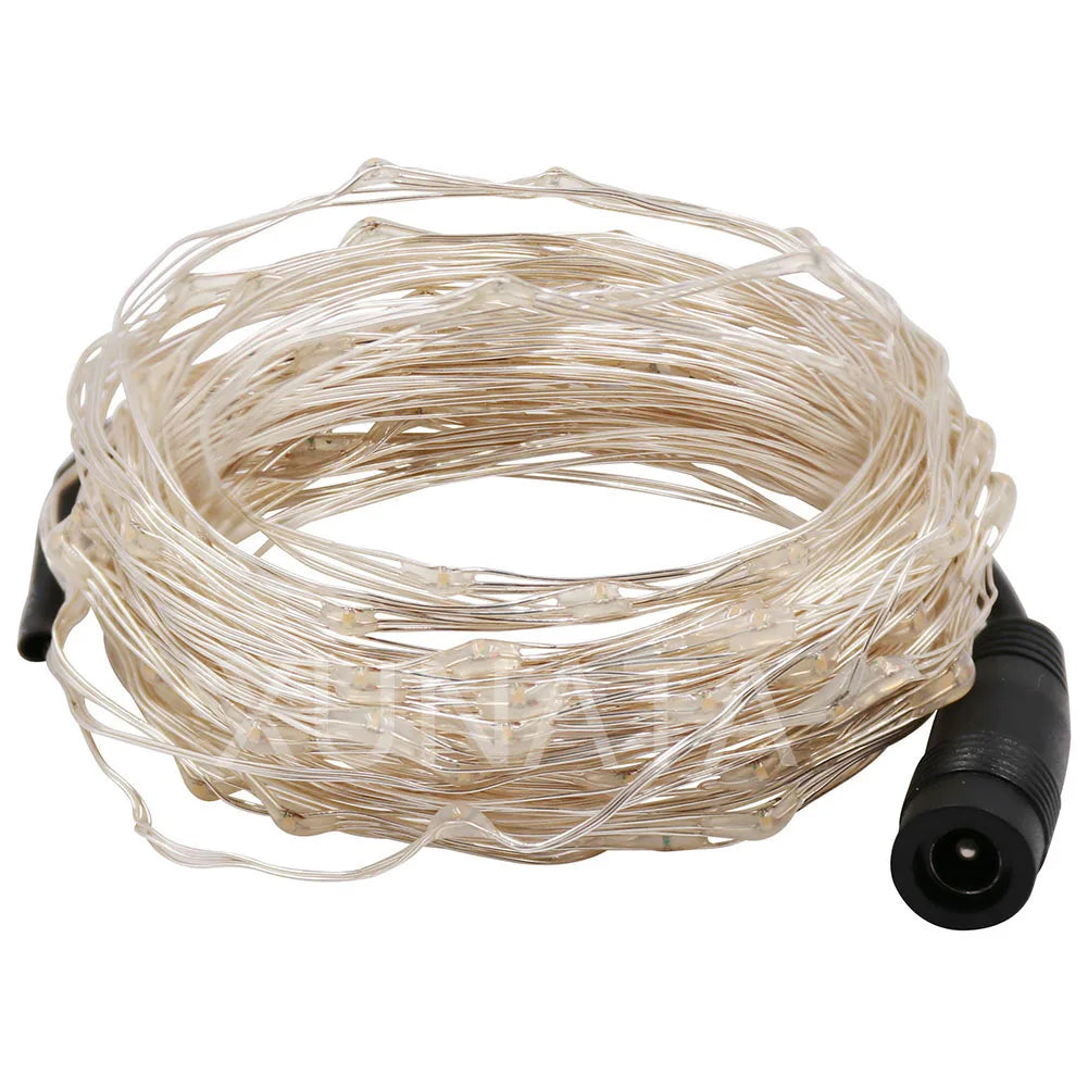 10M/20M/30M LED String Fairy Lights Plug-in Wedding Party Christmas Decor DC 12V 2A Power Adapter UK/EU/US/AU On/Off Switch