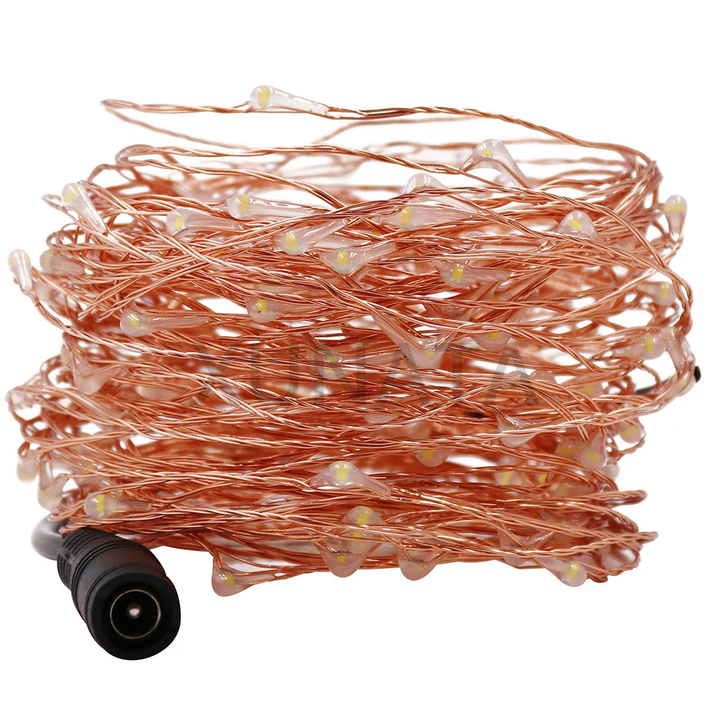 10M/20M/30M LED String Fairy Lights Plug-in Wedding Party Christmas Decor DC 12V 2A Power Adapter UK/EU/US/AU On/Off Switch
