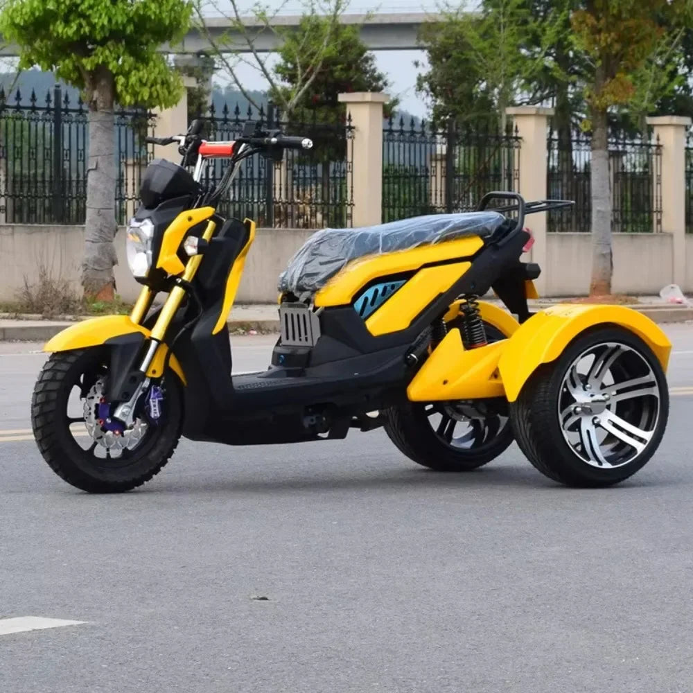 1000W Fashionable Removable Battery High Quality Powerful Three-wheel 3-wheel Electric Tricycle Scooter Tricycle