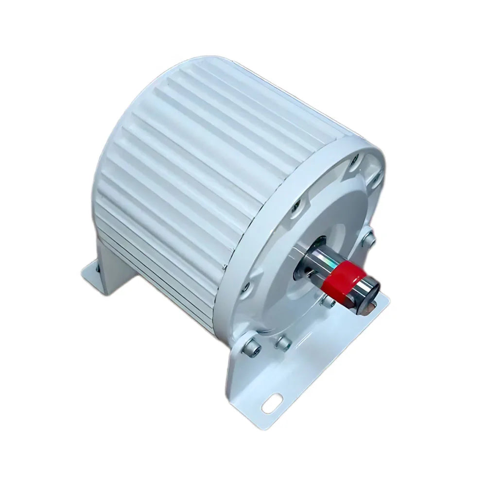 10KW 20KW Permanent Magnet Generator 220V 380V Dynamo 20000W Alternator Generator With DC Driving Motor for Home Use
