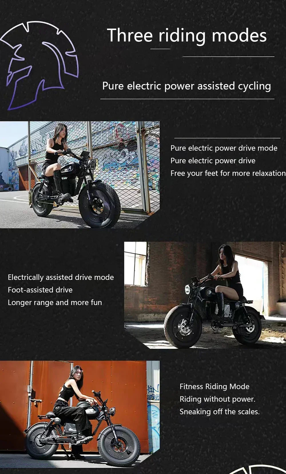 1500W 48V60AH Black Warrior Motorbikes 20inch Fat Tyre Electric Bike Adult Road Hydraulic brake E-bike Adult Road Electric Bike