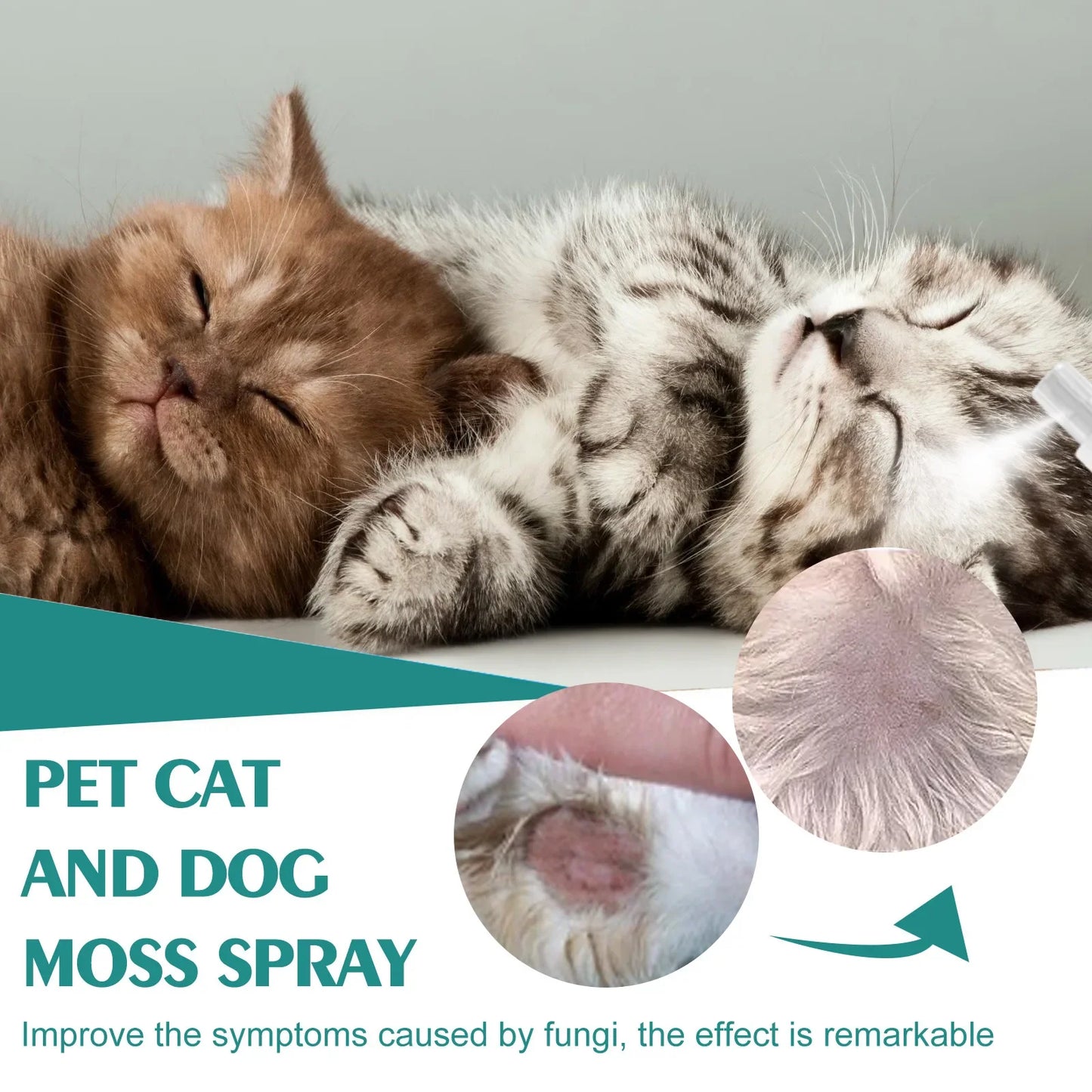 비데 멀티탭 30ml Pet Expel Fleas Lice Treatments Spray Quick and Handy Fleas Ticks Expellent for Dogs Cats Pet Health Supplies Espejo