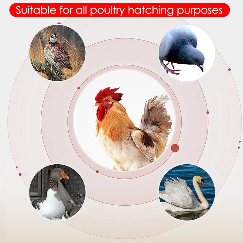 16 Eggs incubator for Chicken Goose Bird Dual-Electric Mini Household Brooder Quail Automatic Incubation Equipment Hatchery