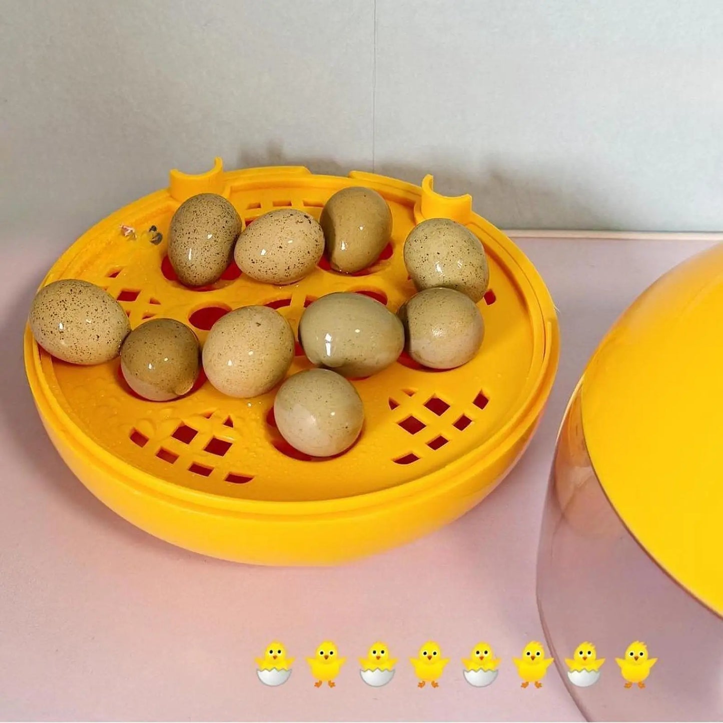 1-6 Eggs Incubator Practical Eggs Hatching Breeder Temperature Control Clear Observation for Goose Chickens Birds Quail Supplies