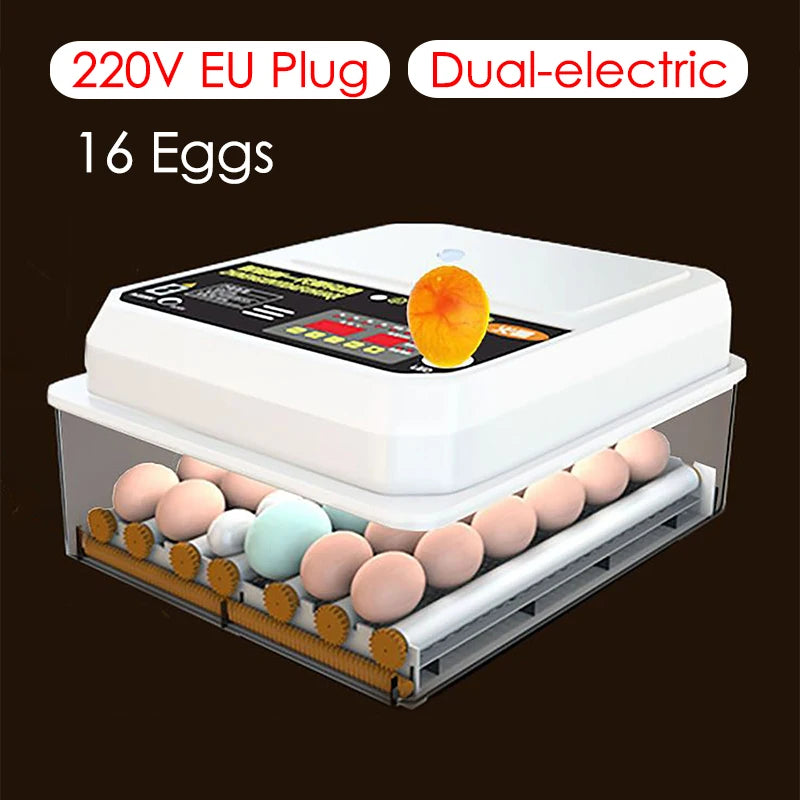 16 Eggs incubator for Chicken Goose Bird Dual-Electric Mini Household Brooder Quail Automatic Incubation Equipment Hatchery