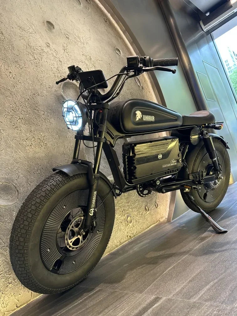 1500W 48V60AH Black Warrior Motorbikes 20inch Fat Tyre Electric Bike Adult Road Hydraulic brake E-bike Adult Road Electric Bike