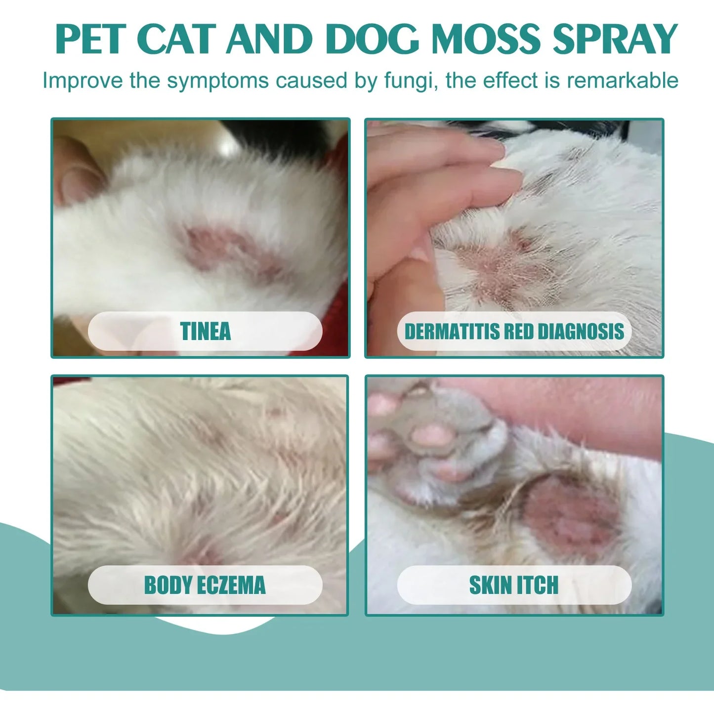 비데 멀티탭 30ml Pet Expel Fleas Lice Treatments Spray Quick and Handy Fleas Ticks Expellent for Dogs Cats Pet Health Supplies Espejo