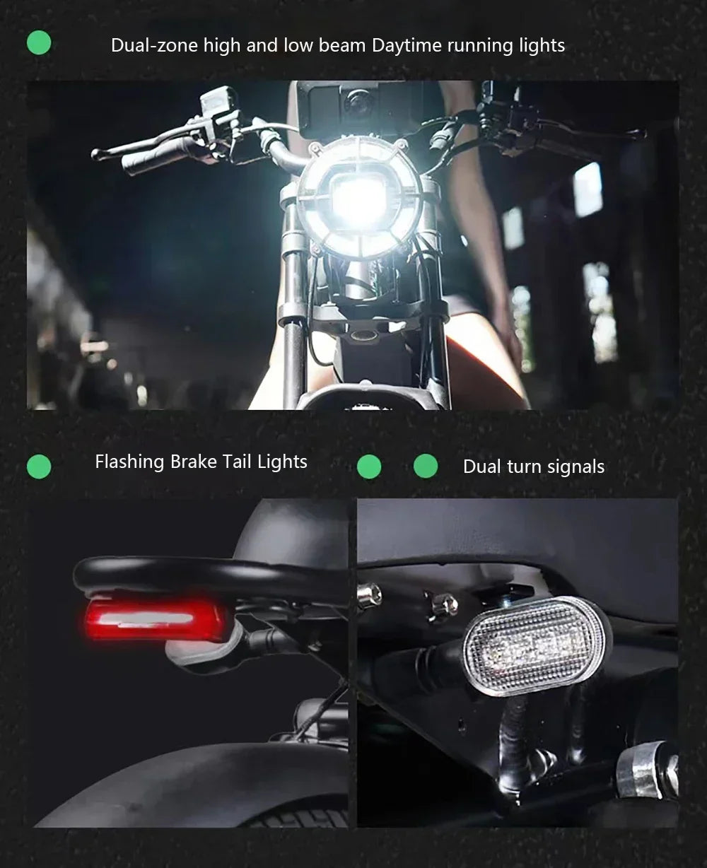 1500W 48V60AH Black Warrior Motorbikes 20inch Fat Tyre Electric Bike Adult Road Hydraulic brake E-bike Adult Road Electric Bike