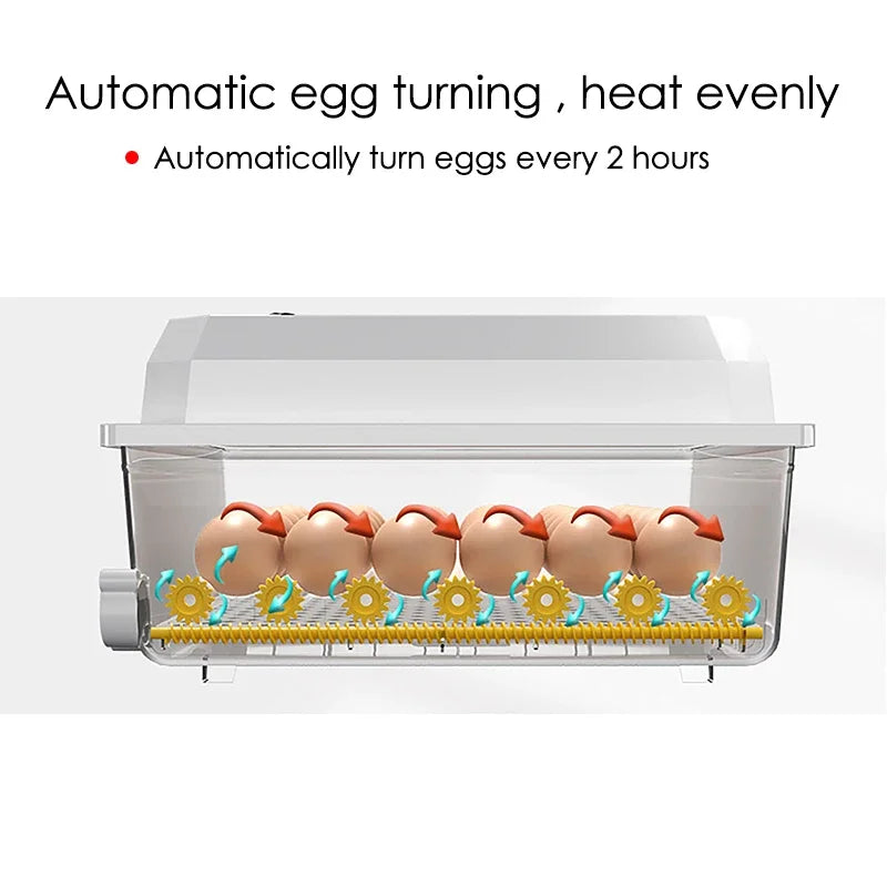 16 Eggs incubator for Chicken Goose Bird Dual-Electric Mini Household Brooder Quail Automatic Incubation Equipment Hatchery