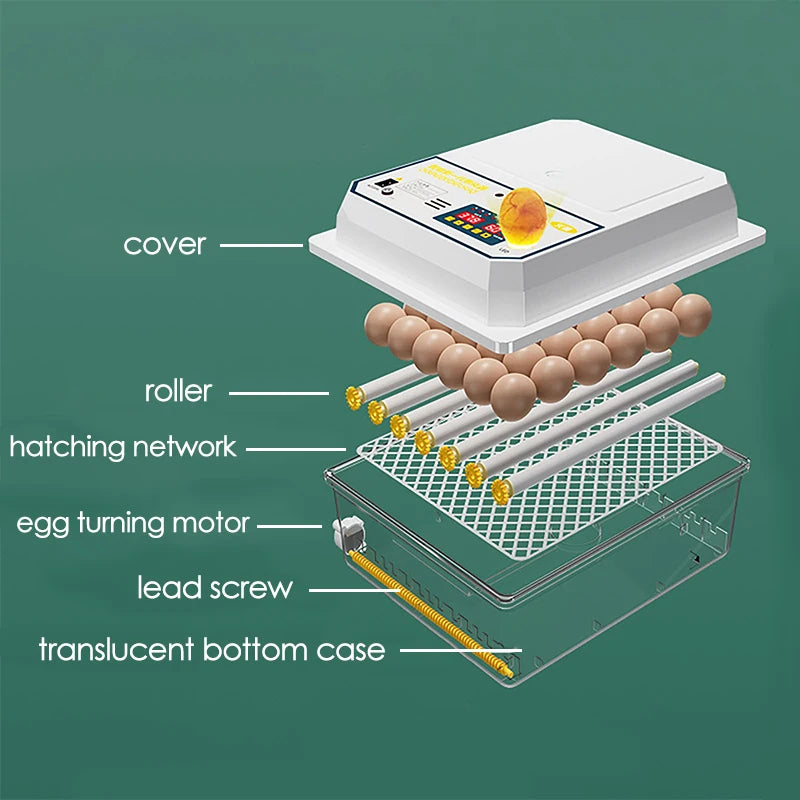 16 Eggs incubator for Chicken Goose Bird Dual-Electric Mini Household Brooder Quail Automatic Incubation Equipment Hatchery