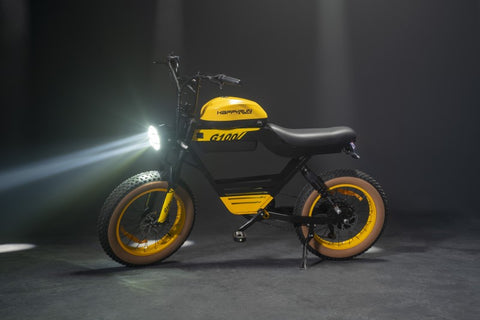 HAPPYRUN G100 Pro Global Comme Morative Electric Bikes All-Terrain Electric Motor Bike 3000w Motor 18Ah + 15Ah Dual Battery