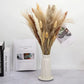 1 Bunch Pampa Real Flowers Dried Pampas Grass Fleurs Sechees Reed Phragmites Plants Bouquet For Wedding Party Home Decoration