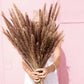 15Pcs Fleur Sechee Naturelle Dried Small Pampas Grass Flowers Para Decoracion Real Plants  Home Decor Wedding Decoration Kwiaty