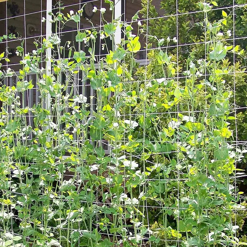 5-20m Garden Plant Trellis Netting Heavy Duty Mesh Vine Landing Weaving Grow Frame for Vegetable Orchard Flower Cucumber Climb