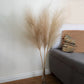 1PC Faux Pampas Grass Decor Plume Grass Artificial Phragmites australis Vase Decorations Fake Reeds Plants Everlasting Flowers