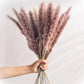 15Pcs Fleur Sechee Naturelle Dried Small Pampas Grass Flowers Para Decoracion Real Plants  Home Decor Wedding Decoration Kwiaty