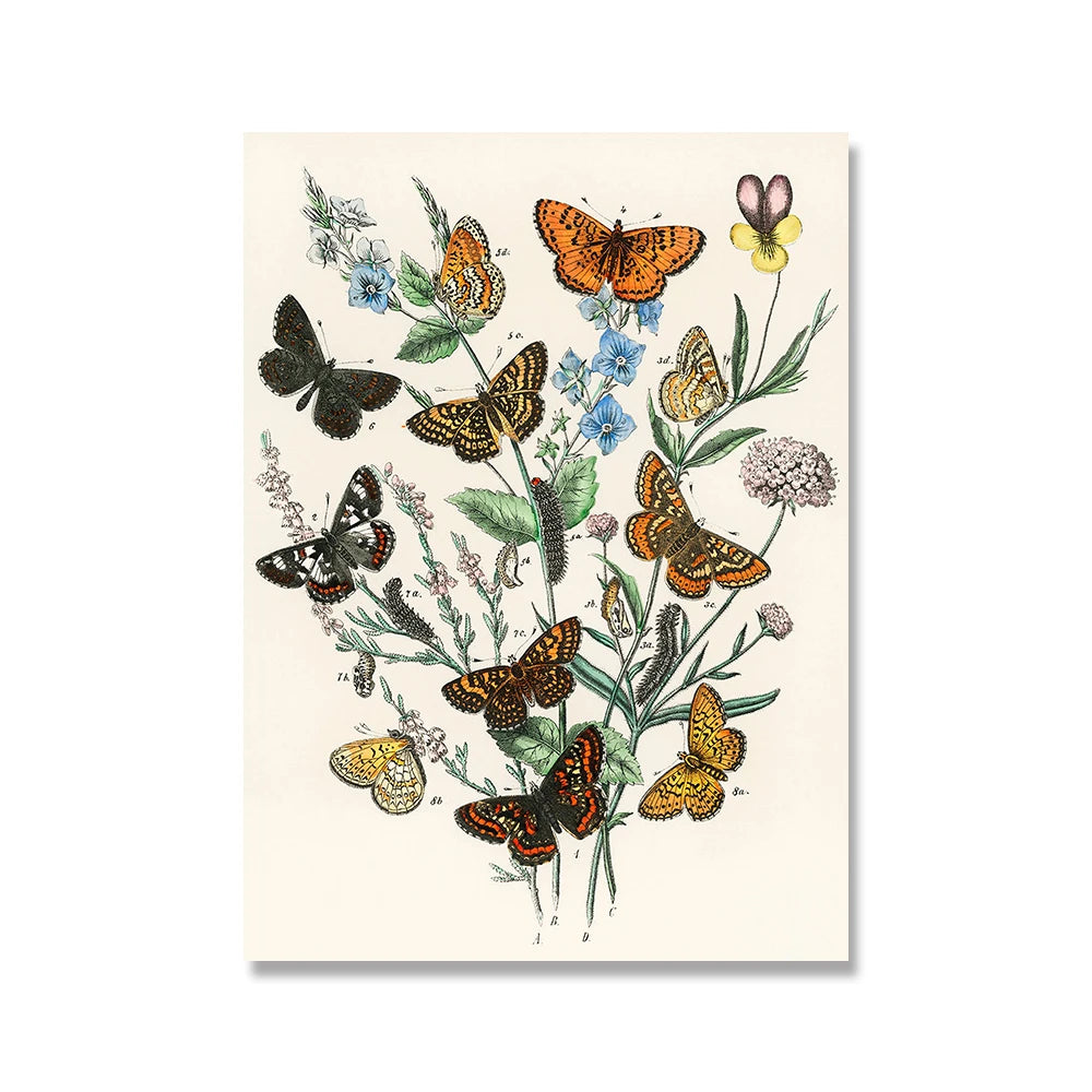 Botanic Butterfly Print Canvas Painting Retro Poster Papillons Biology Education Wall Art Picture Modern for Living Room Decor