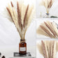 1 Bunch Pampa Real Flowers Dried Pampas Grass Fleurs Sechees Reed Phragmites Plants Bouquet For Wedding Party Home Decoration