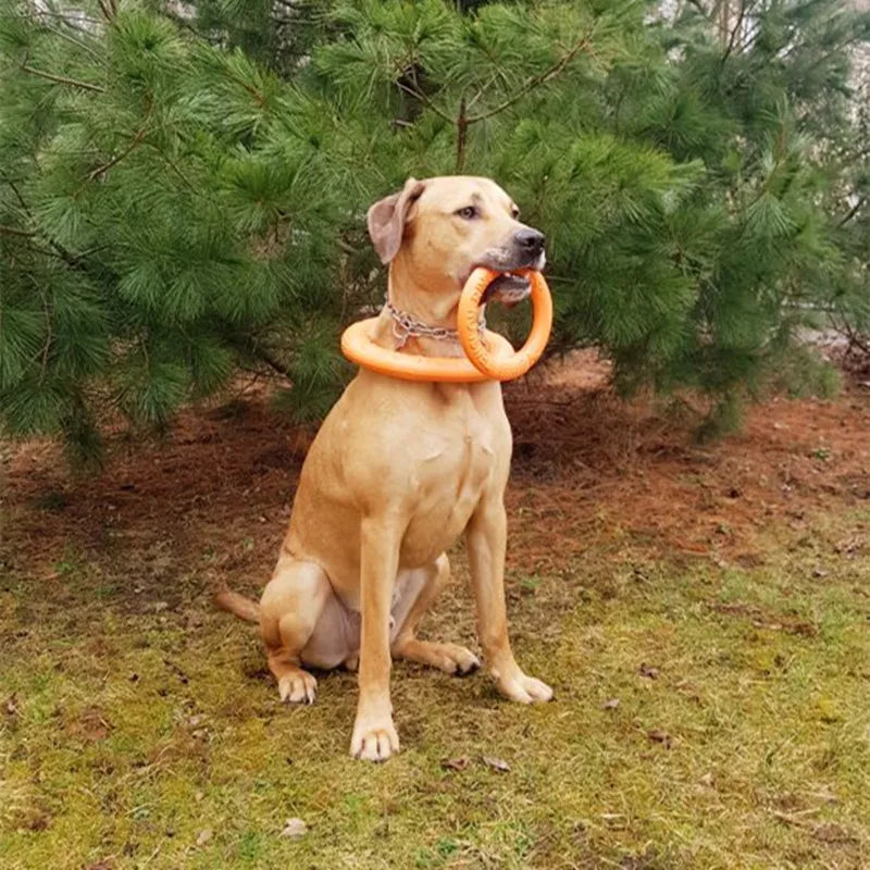 Dog Flying Discs EVA Dog Training Ring Puller Resistant Bite Floating Toy Puppy Outdoor Interactive Game Playing Products Supply