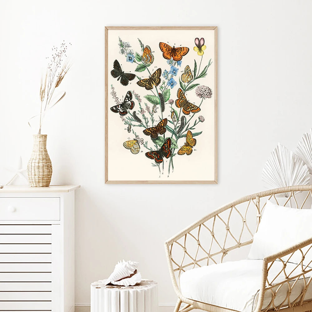 Botanic Butterfly Print Canvas Painting Retro Poster Papillons Biology Education Wall Art Picture Modern for Living Room Decor