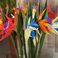 Large Size 32'' 2pcs bird of paradise strelitzia Wedding Decor Strelitzia Reginae Paradis Bird Flower flores de artificiais