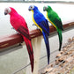 25cm Lifelike Parrot Artificial Ornament For Home Garden Yard Lawn Art Christmas Wedding Ceremony Decoration