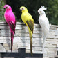 25cm Lifelike Parrot Artificial Ornament For Home Garden Yard Lawn Art Christmas Wedding Ceremony Decoration