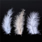 100pcs Natural Plumes 4-6 InchesTurkey Marabou Feather Plume Fluffy Wedding Dress DIY Jewelry Craft Decor Accessories Feathers