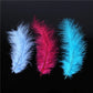 100pcs Natural Plumes 4-6 InchesTurkey Marabou Feather Plume Fluffy Wedding Dress DIY Jewelry Craft Decor Accessories Feathers