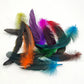 20Pcs/Lot Plume Black Party Rooster Feathers Crafts DIY Natural Colored Feather Jewelry Making Wedding Decoration Plumas 13-18cm