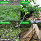 5-20m Garden Plant Trellis Netting Heavy Duty Mesh Vine Landing Weaving Grow Frame for Vegetable Orchard Flower Cucumber Climb