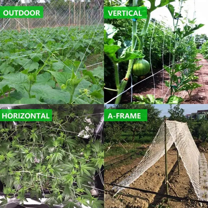 5-20m Garden Plant Trellis Netting Heavy Duty Mesh Vine Landing Weaving Grow Frame for Vegetable Orchard Flower Cucumber Climb