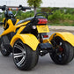1000W Fashionable Removable Battery High Quality Powerful Three-wheel 3-wheel Electric Tricycle Scooter Tricycle