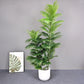 150cm Large Artificial Palm Tree Fake Tropical Plants Green Monstera Leaves Plastic Banyan Tree for Garden Home Office Decor