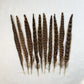 Female Pheasant Tail Feathers 10pcs/lot 25-30CM/10-12" Natural Red Green Brown Feathers for Crafts DIY Decorations Plumes