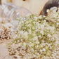 Baby's Breath Dried Flowers Bouquet Gypsophila Fleurs Sechees Flores Artificial Flowers Home Decor Christmas Wedding Decoration