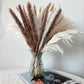 80pcs Dried Pampas Grass Natural Flower Bouquet Set for Photography, Wedding, Event, Office Decoration