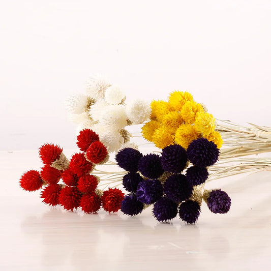 15pcs Colorful Natural Dried Flowers Bouquet Strawberries Grass DIY Handmade Handicraft Artificial Flower Home Decor Photp props