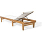 Beach Chairs, Outdoor Mesh Chaise Lounge with Acacia Wood Frame, Teak Finish / White Mesh, Beach Chairs