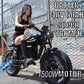 1500W 48V60AH Black Warrior Motorbikes 20inch Fat Tyre Electric Bike Adult Road Hydraulic brake E-bike Adult Road  Electric Bike