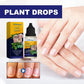 10ml Nail Fungus Repair Nail Care Liquid Hands Soft Nails Nail Care Moisturizer Feet Brightens Nails Nail Drops