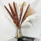 80pcs Dried Pampas Grass Natural Flower Bouquet Set for Photography, Wedding, Event, Office Decoration