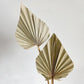 5pcs Boho Style Floral Arragnement Blooms Dried  Mini Flower Dry Palm Leaves Natural Dried Palm Fans Leaf for Wedding Decoration