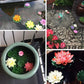 Artificial Lotus Pond Decoration for Garden Landscape and Fountain