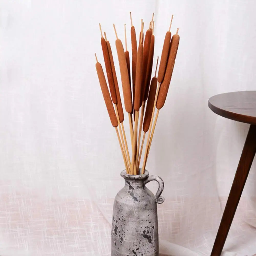 Belle Fleur 5Pcs Dried Natural Cattails Jumbo For Rustic Floral Wedding Arrangement Decoration Home Room Garden Plants Decor