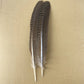 10Pcs/Lot Real Natural Eagle Feathers for Decoration Crafts Turkey Pheasant Bird Owl Feather Decor Plumes Accessories Carnival