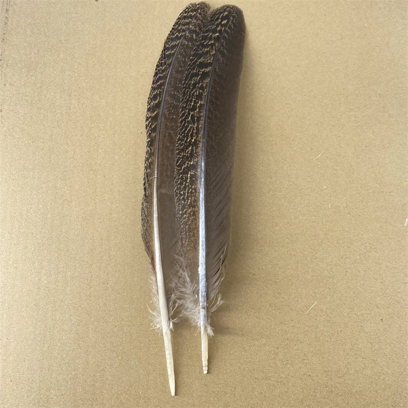 10Pcs/Lot Real Natural Eagle Feathers for Decoration Crafts Turkey Pheasant Bird Owl Feather Decor Plumes Accessories Carnival