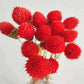 15pcs Colorful Natural Dried Flowers Bouquet Strawberries Grass DIY Handmade Handicraft Artificial Flower Home Decor Photp props